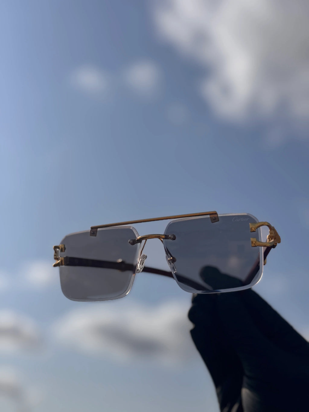 cheeta glasses
